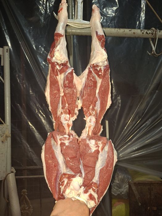 Qassob service  Кассоб хизмати Qassob xizmati