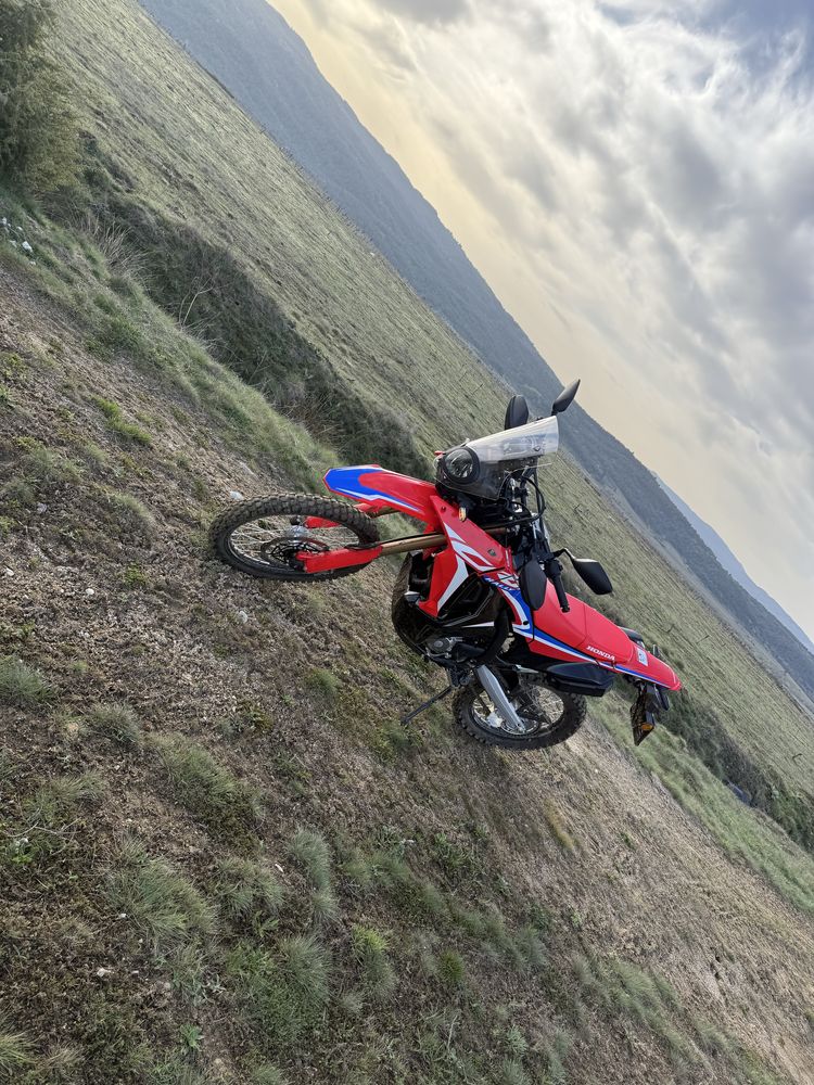 Honda crf 300 rally