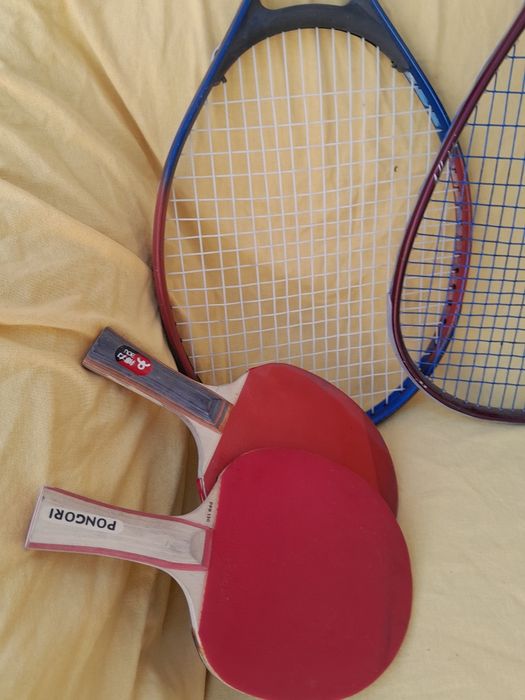 Rachete tenis/badminton