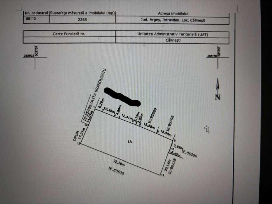 2X Teren intravilan, Loc. Calinesti, Arges