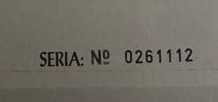 Disponibilla fenela din  rasa Lagotto Romagnolo de 8 luni