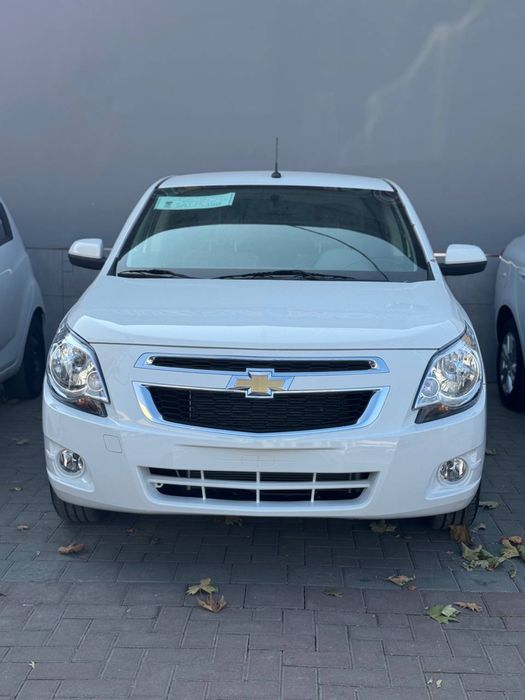 Cobalt 2025/2026 stayl tayor