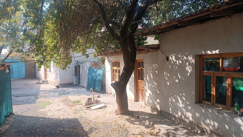 Uy 4 sotik sotigi 30.000