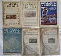 Romania apicola 1932-1938 / Buletinul apicultorilor 1936