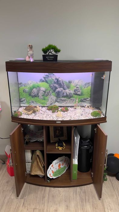 АКВАРИУМ JUWEL 180L + Шкаф, ФИЛТЪР SICCE, осветление и декорации