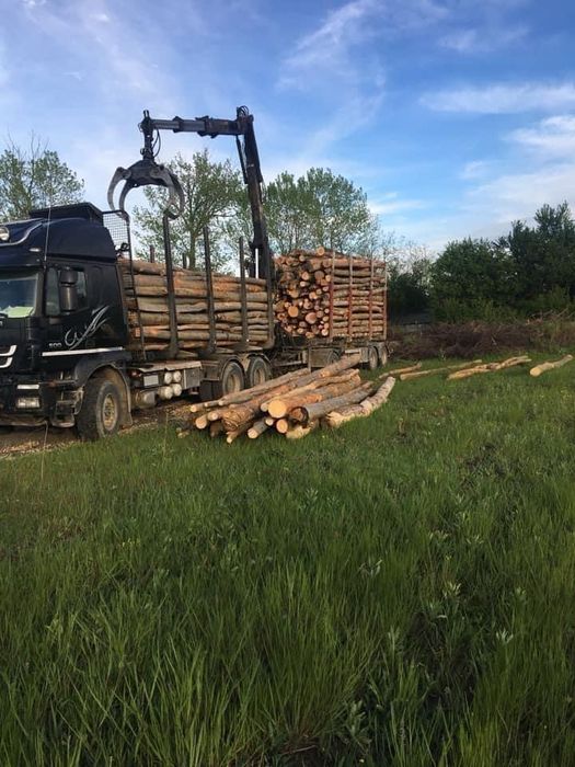 Cabune lignit, lemn foc Teleorman, Giurgiu