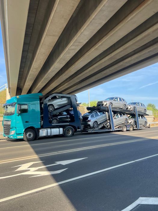 Sofer categoria C+E Autotransportor cabina mare