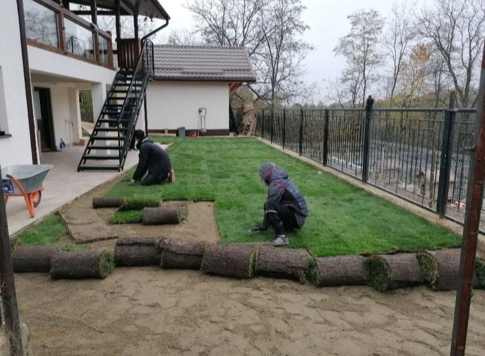 gazon rulou sport 24 de lei m2. Transport și montaj inclus în preț.