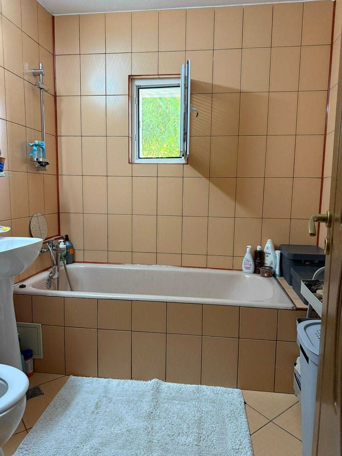 Inchiriez apartament Dumbrava Nord