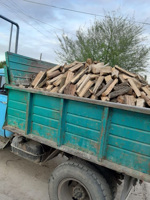 Карагач, дуб, ясинь колотые