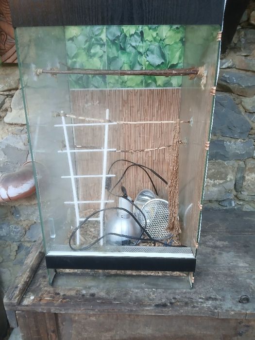 Терариум с пълно оборудване