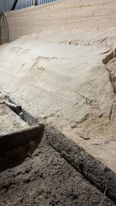 vand rumegus brad verde