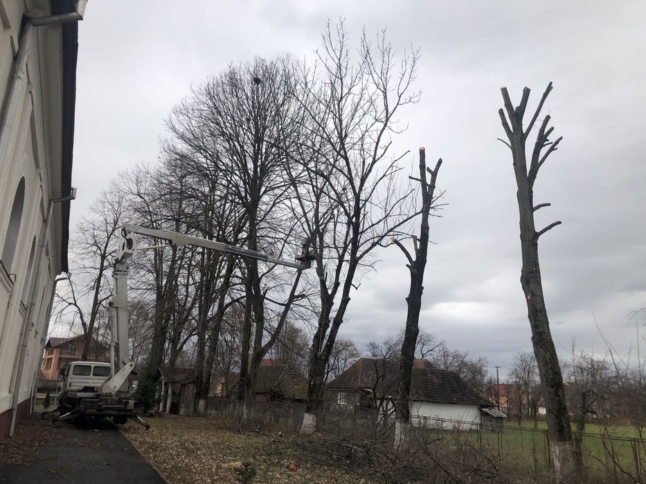 Toaletari arbori , taieri copaci periculosi , defriseri cu Nacela