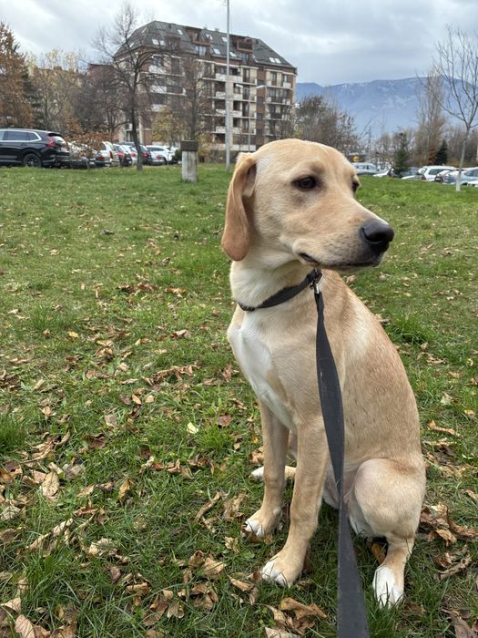 Кари на 8 месеца