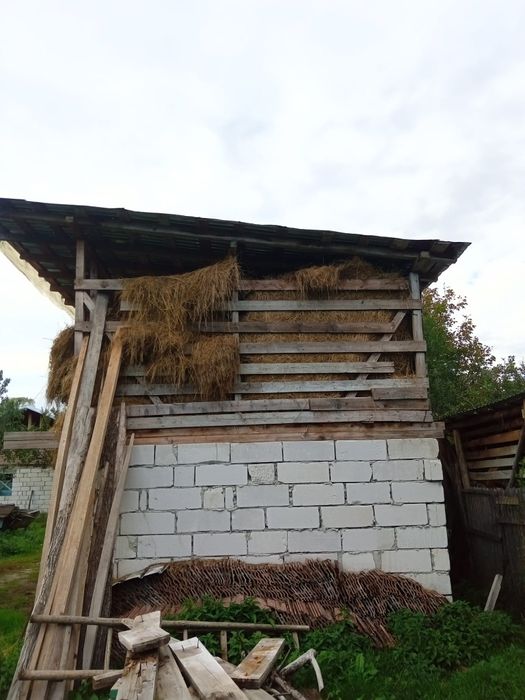 Fin de gradina de vinzare