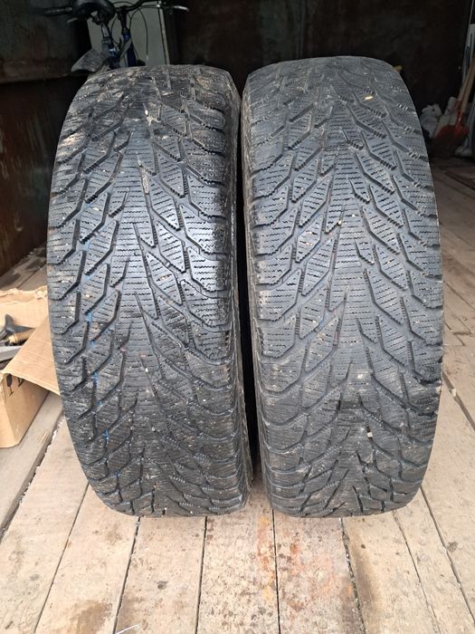 Зимние шины  липуска R15