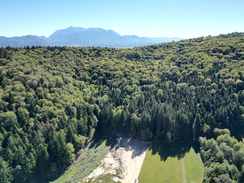 Teren Vulcan Intravilan 2000mp Poieniță Frumoasă lângă Lacuri