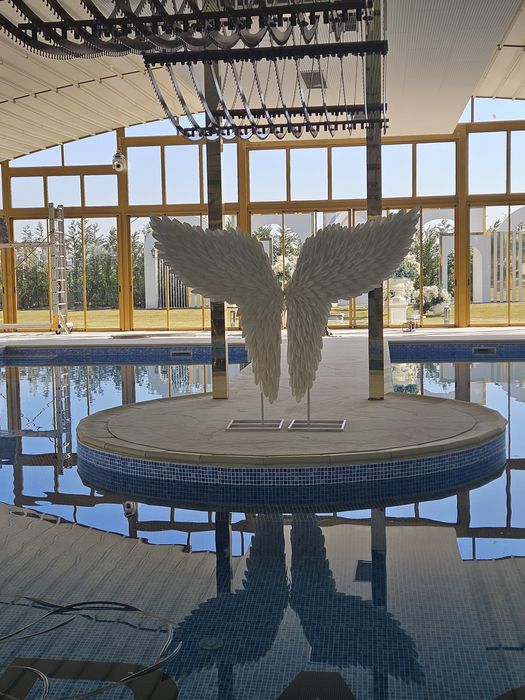 Aripi de inger disponibile pentru inchiriat