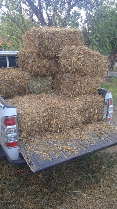 Vând baloti din paie de triticale