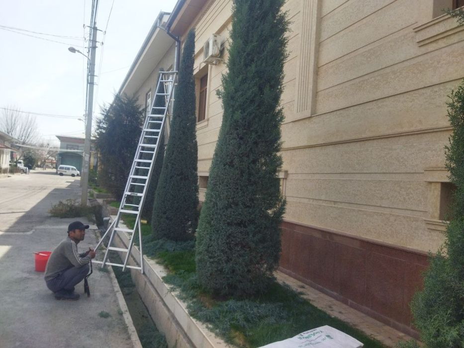 Darahit kisish butalash Binzapilada boğbonchilik hizmati