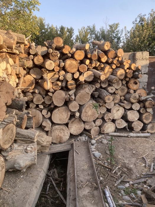 Qurigan Tayor Otinlar sotiladi Toshkenda narxini kelishamz