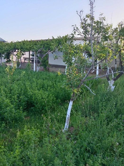 Zo‘r imkoniyat! tayyor 2 xonali uy va keng yer maydoni sotuvda.