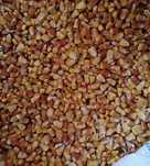 Vand Porumb  Grau