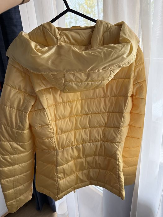 Яке Masaimo dutti