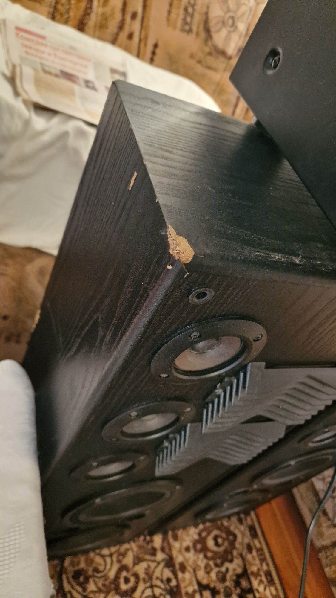 Тонколони говорители среди пищялки palladium sae 300w max