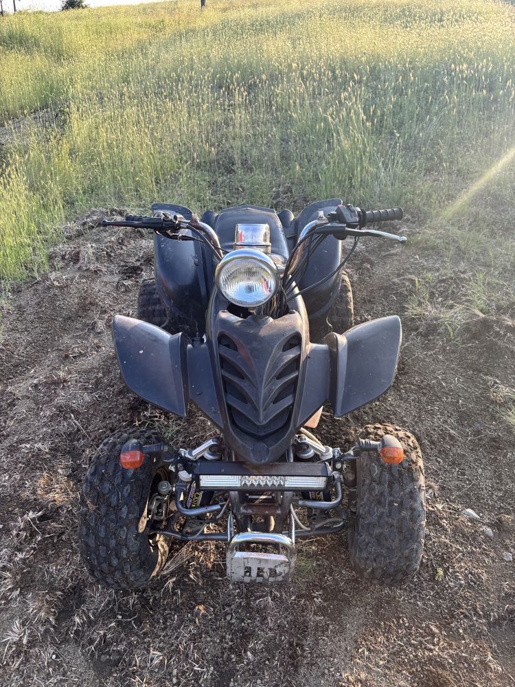 Atv 200cc Peidu lizard