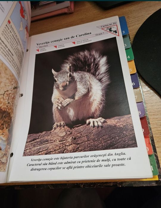 Cartea Minunata lumea animalelor