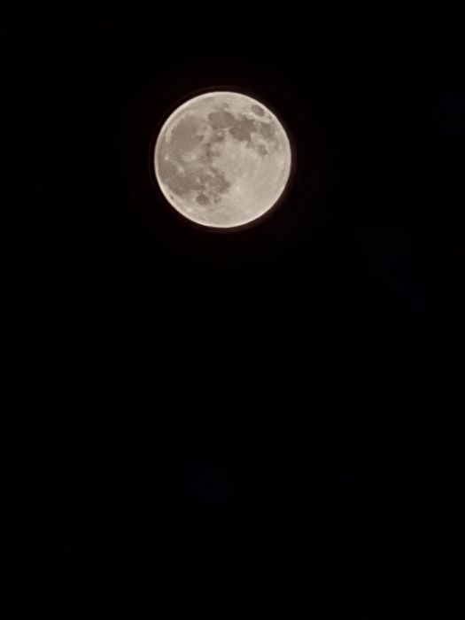 Galaxy S20+ Kar/dak FULL