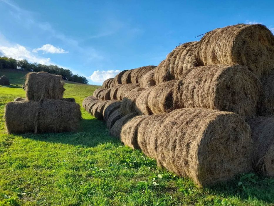 Vând baloți de fân