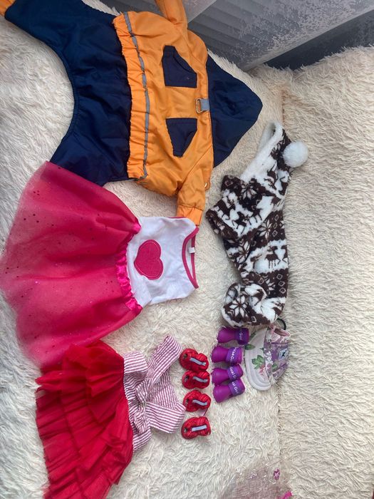 Продам вещи на чихуахуа мини