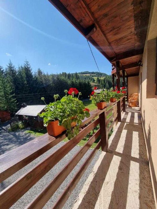 Craciun si Revelion in Sinaia la Cabana