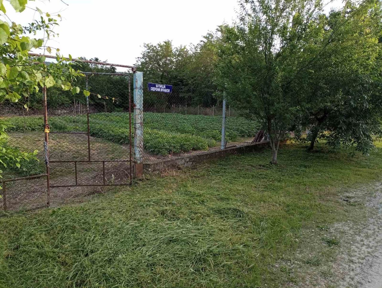 Продава се Парцел в с. Първомайци, Област Велико Търново - 900 кв.м за 21 €/кв.м - Снимка #4