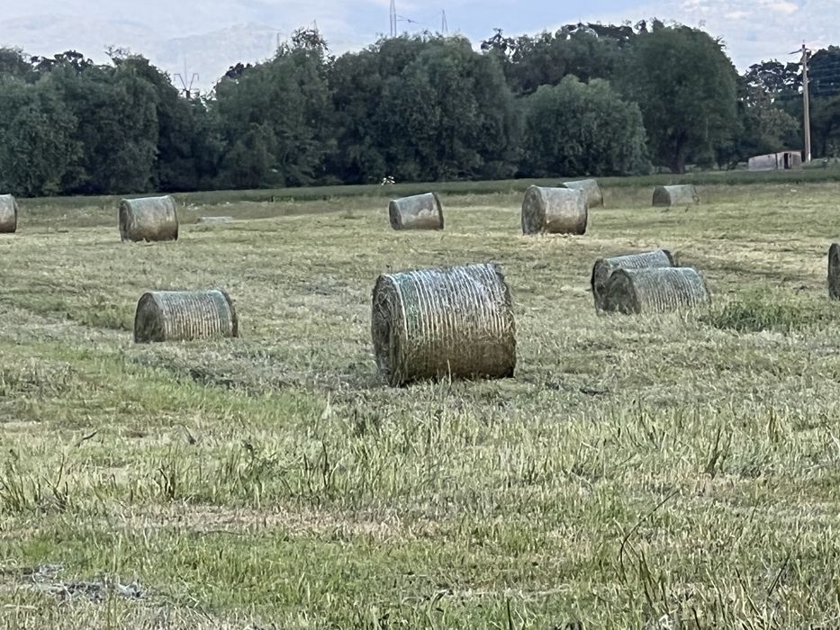 Baloti lucerna baloti fan role rotunde