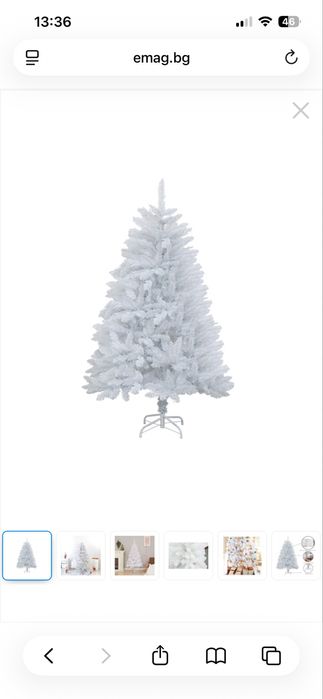 Коледна бяла елха