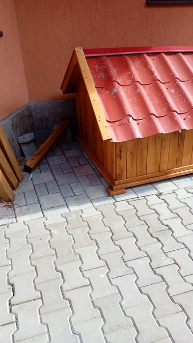 Ușa stezar doua sute bucata