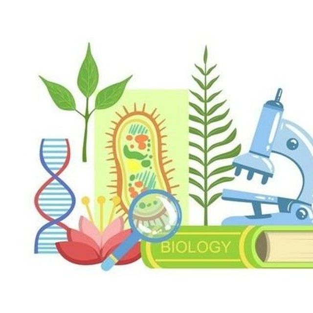 Репетитор по биологии и химии