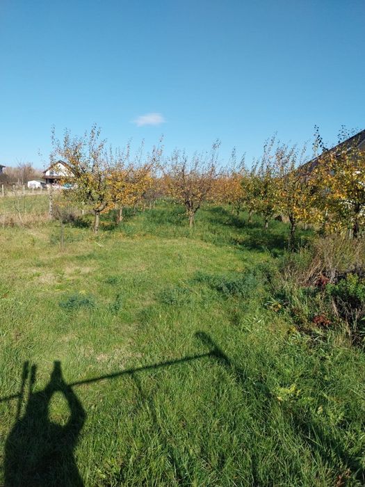 Vand teren intravilan - cartier micro 16