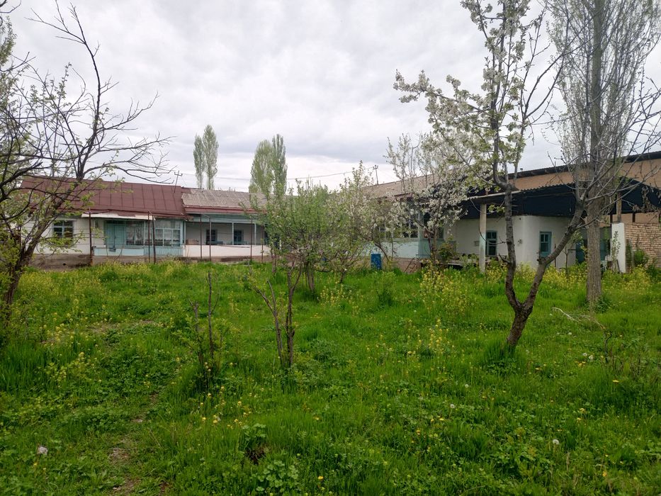 Yer xovli sotiladi 24 sotix aray hoji kolga kerurishda kavardanda