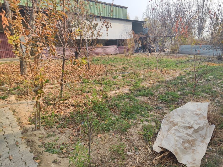 Срочно дача ховли сотилади