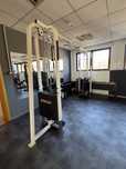 scripete dublu LifeFitness