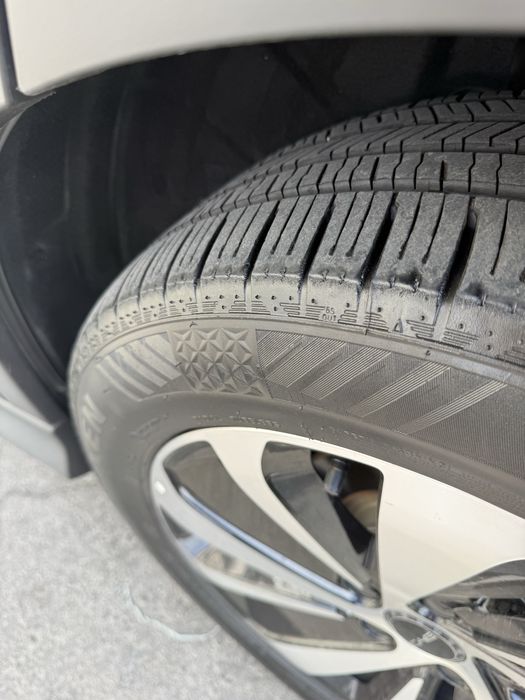 Byd gibrid 2024