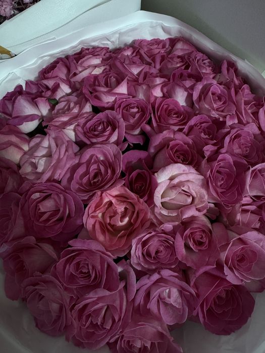 Букет из 51 розы