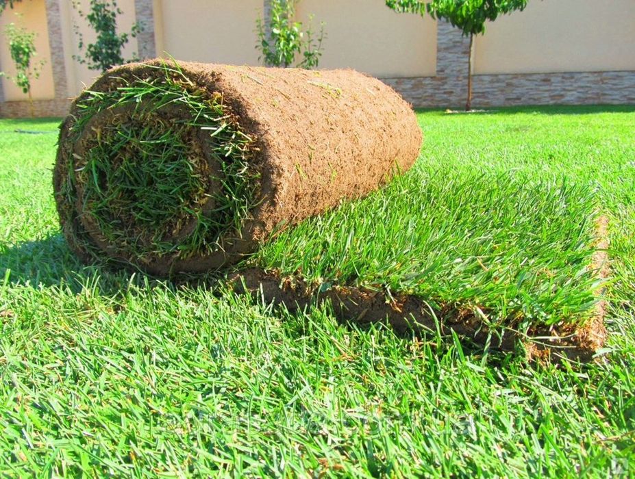 Установка рулонного газона