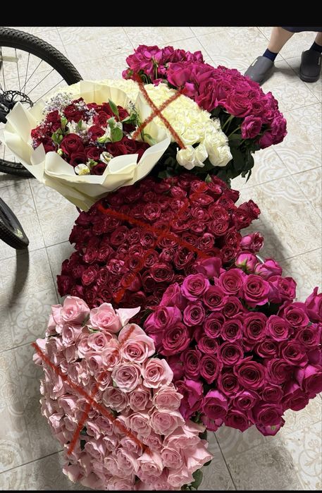 цветы,розы 101,41