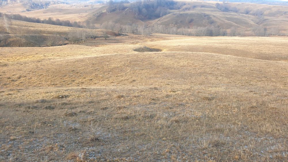 De vanzare teren extravilan in comuna Ciucea ,jud.Cluj