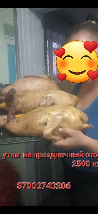 Продам мясо домашних уток
